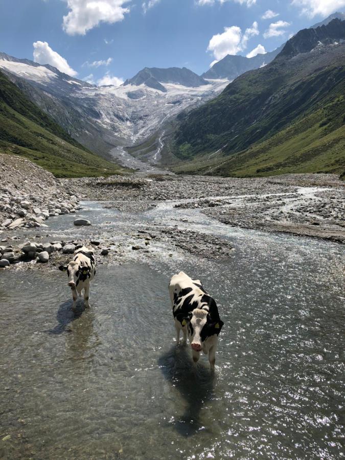 Landhaus Zillertal Рамзау  Экстерьер фото